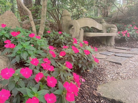 Garden bench surrounded by hot pink flowers in Owosso, Michigan.