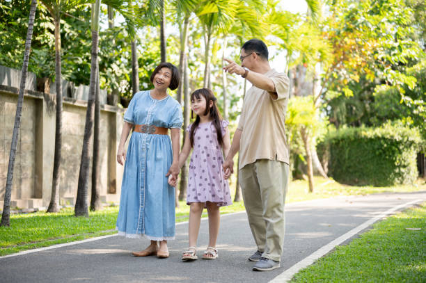 istock Caring Asian grandparents are holding their granddaughter's hands while strolling in a park together 1784978892