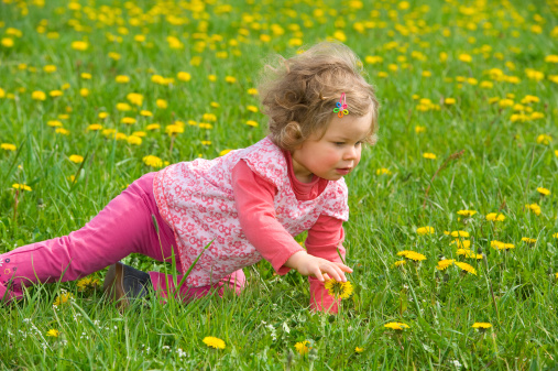 girl in the spring meadow