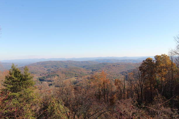 istock After the leaves on the Blue Ridge NC 1784986291
