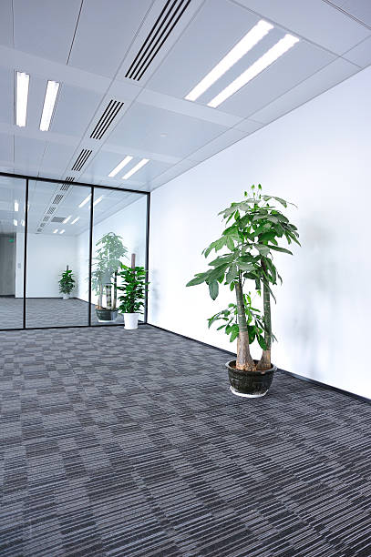 istock Empty office interior with a potted plant and gray carpet 178499554