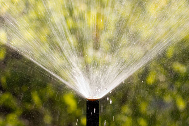 istock sprinkler head watering the bush and grass 178501075