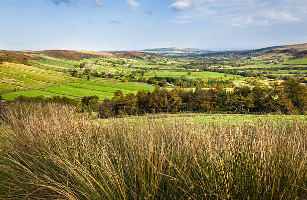 istock Glaisdale, North York Moors, Yorkshire, UK. 178501318
