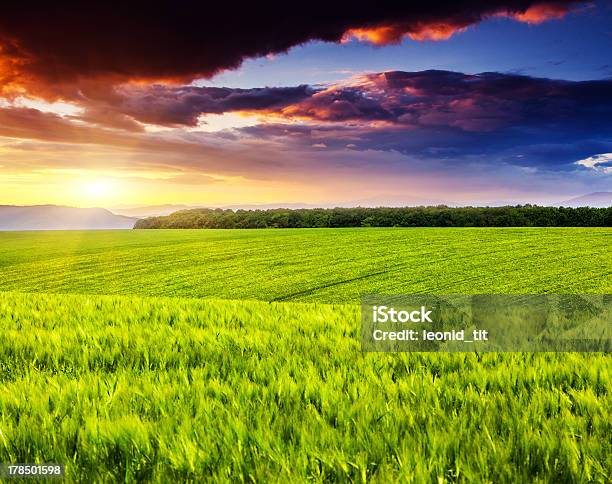 Pôrdosol - Fotografias de stock e mais imagens de Agricultura - Agricultura, Amanhecer, Anoitecer