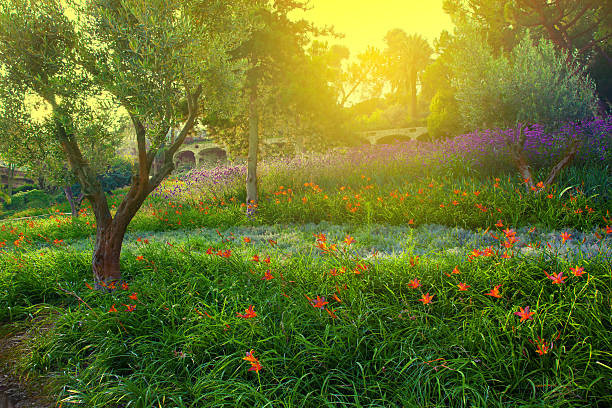 istock Colorful park with flowers 178501986