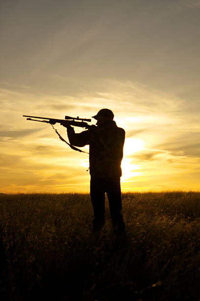 Hunter with Rifle in Sunrise stock photo