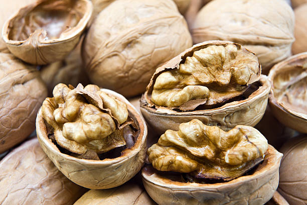 walnuts stock photo