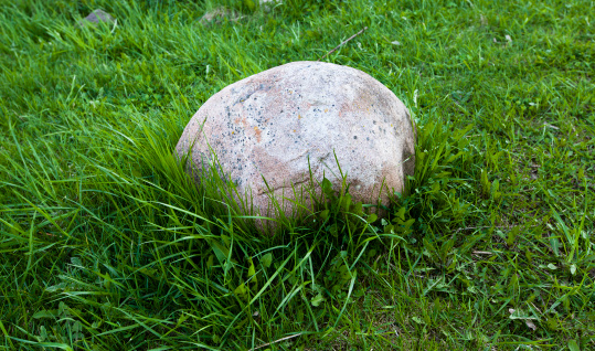 a small stone lying on a green grass