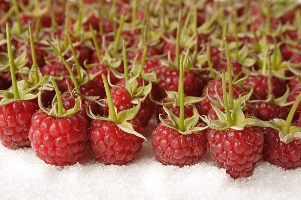 Raspberries stock photo