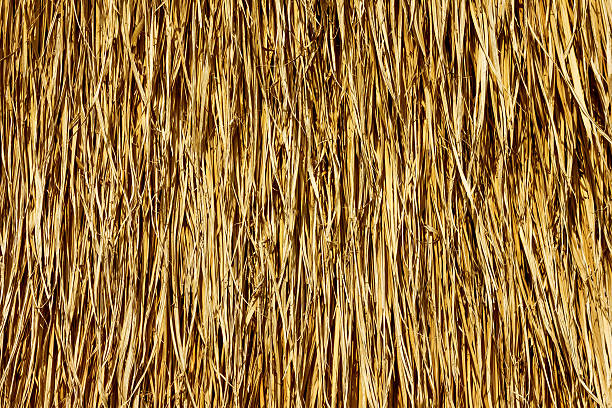 istock Textured background of golden straw 178503983