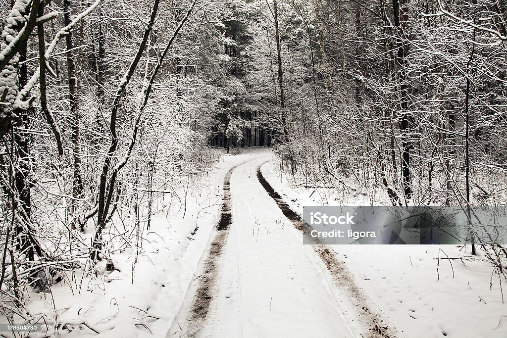 La strada coperta di neve - Foto stock royalty-free di Albero