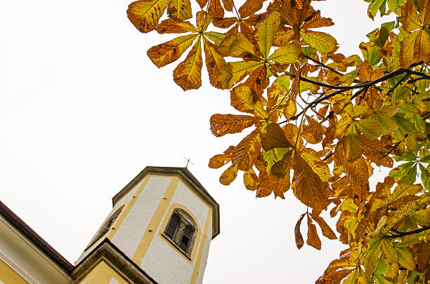 istock Leafs in fall of chestnut tree and a church 178505370
