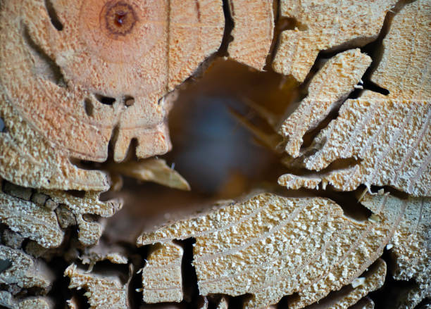 The texture of the old wooden pattern