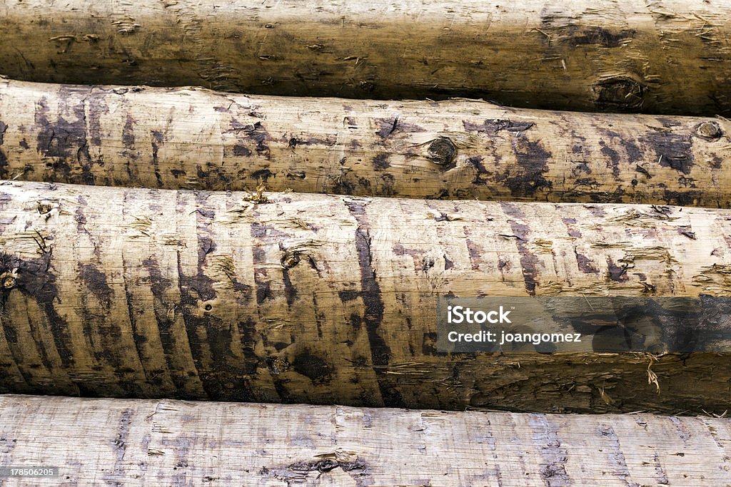 Груду дерева - Стоковые фото Влажный роялти-фри