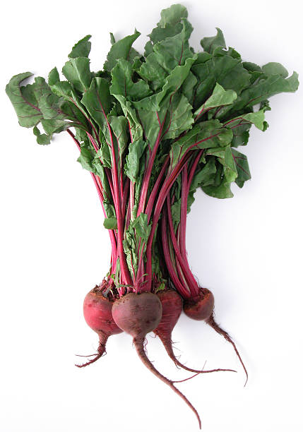 フレッシュで健康的なビートルートの束 - beet common beet isolated root vegetable ストックフォトと画像