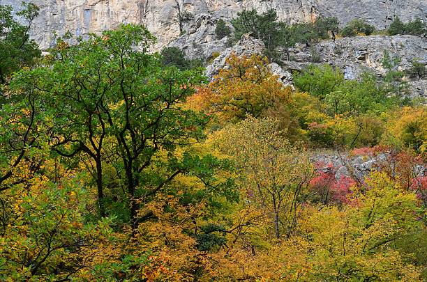 istock Grand Canyon of Crimea 178507447
