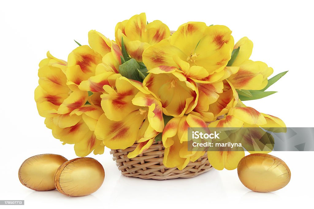Easter Flower Basket Yellow and red tulip flower arrangement in an easter basket with golden chocolate eggs over white background. Basket Stock Photo