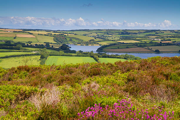 wimbleball lake, parque nacional de exmoor somerset - exmoor national park fotografías e imágenes de stock