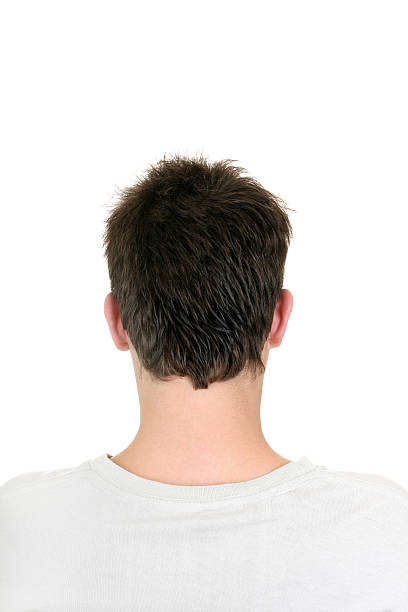 istock Back of man's head on a white background 178507983