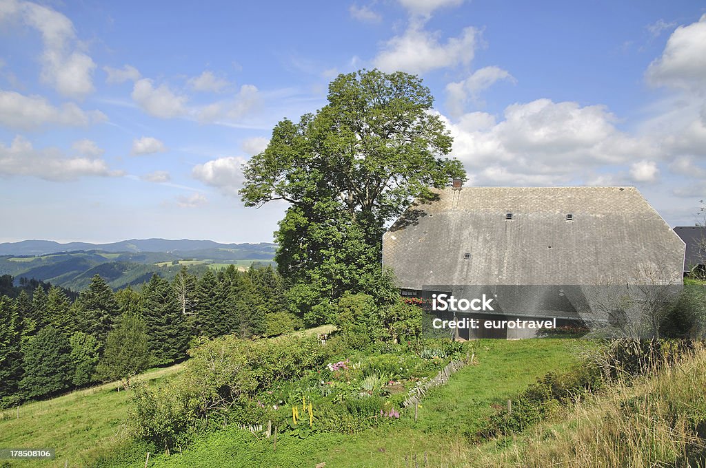 Paesaggio tipico della Foresta Nera, Germania - Foto stock royalty-free di Baden-Württemberg