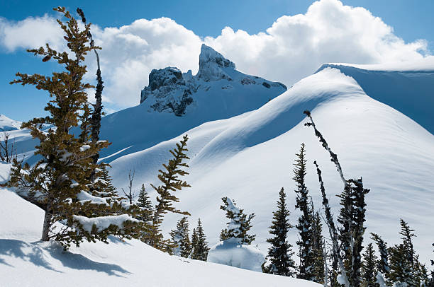 istock Black Tusk winter landscape 178508251