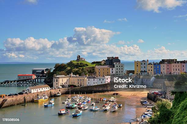 View Of Tenby Harbour With Castle Hill Stock Photo - Download Image Now - Tenby, Harbor, Built Structure