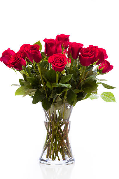 rosas vermelhas - roses in a vase - fotografias e filmes do acervo