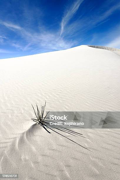 Monumento Nacional De White Sands Foto de stock y más banco de imágenes de Aire libre - Aire libre, Arena, Azul