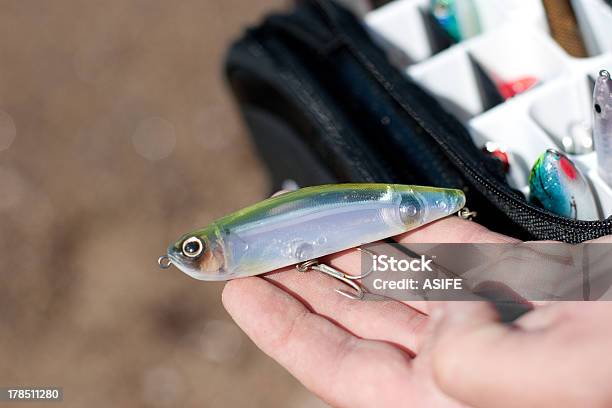 Lure Em Pescador Pesca Mão - Fotografias de stock e mais imagens de Anzol de Pesca - Anzol de Pesca, Ao Ar Livre, Areia