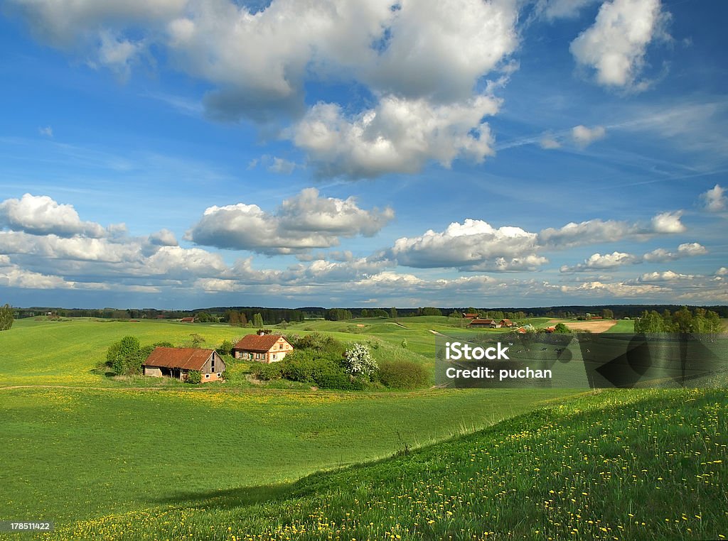 Primavera paesaggio rurale - Foto stock royalty-free di Polonia