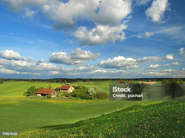Primavera Paesaggio Rurale - Fotografie stock e altre immagini di Polonia - Polonia, Agricoltura, Ambientazione esterna