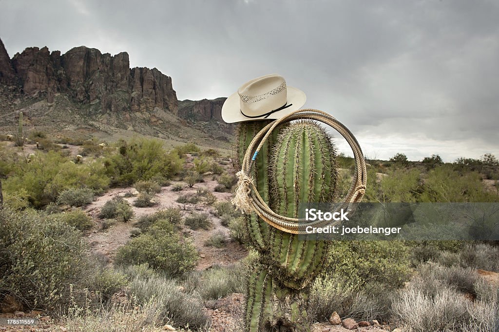 Laçar no cactus - Foto de stock de Arizona royalty-free