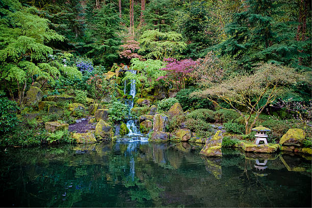 istock Pond in a Japanese garden 178512017