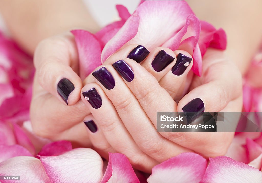 Woman with beautiful nails holding petals Woman with beautiful manicured fashion nails holding a handful of pink rose petals Manicure Stock Photo