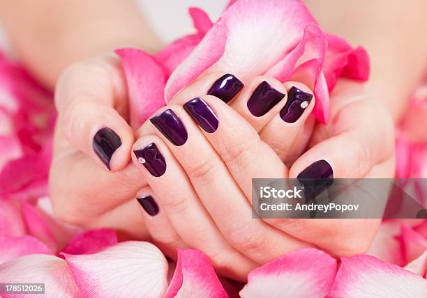 Woman With Beautiful Nails Holding Petals Stock Photo - Download Image Now - Manicure, Acrylic Painting, Activity