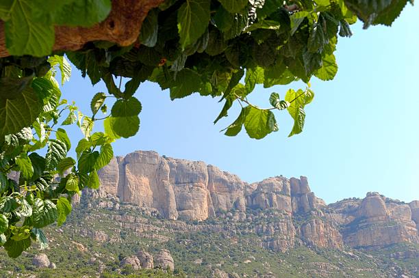View of Montsant mountains, Priorat (aka Priorato), Spain stock photo