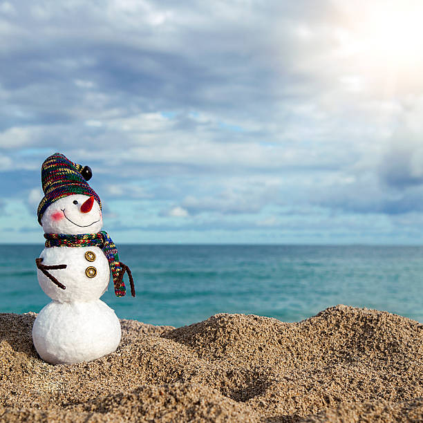 istock Snowman on a sunny beach who is not yet melting 178512449