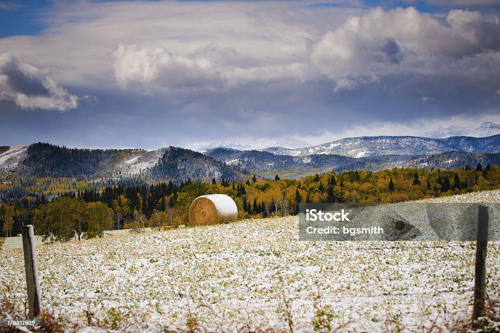 Invierno Farmland - Foto de stock de Alberta libre de derechos