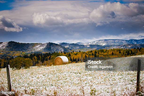 Invierno Farmland Foto de stock y más banco de imágenes de Alberta - Alberta, Invierno, Granja