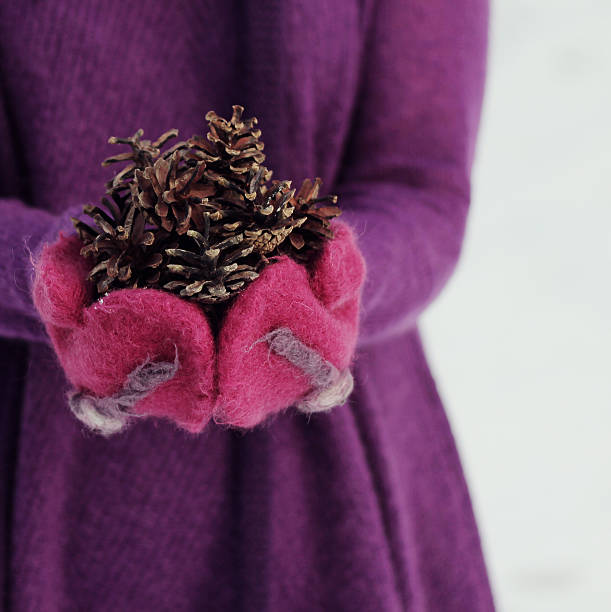 Purple winter stock photo