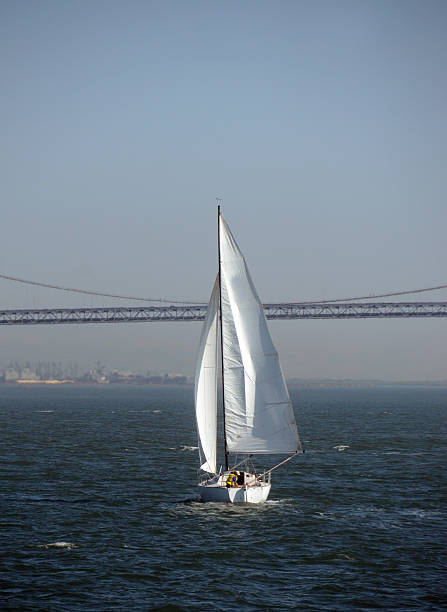 istock Sailing in the San Francisco Bay 178512983