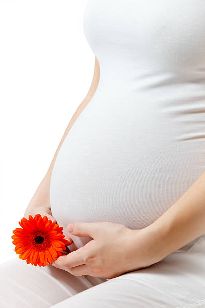 istock Pregnant woman touching her belly 178513065