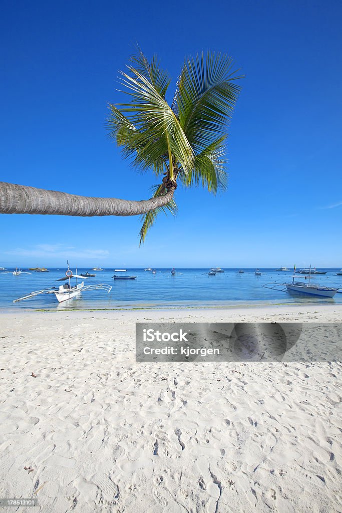 Panglao isla de Bohol - Foto de stock de Aire libre libre de derechos