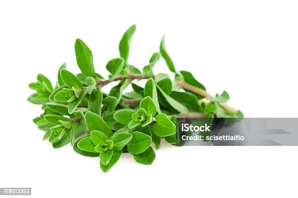 Marjoram Stock Photo - Download Image Now - Aromatherapy, Bunch, Bundle