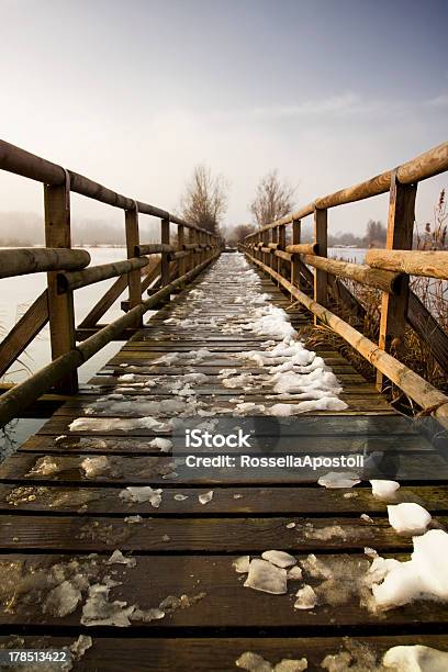 Pontile In Legno - Fotografie stock e altre immagini di Acqua - Acqua, Ambientazione esterna, Animale selvatico