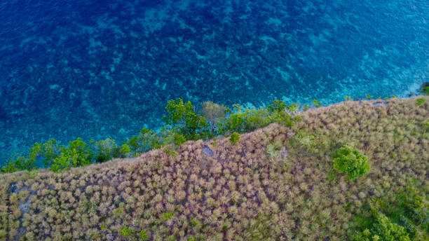 istock Top view of a cliff on the ocean shore. 1785134592