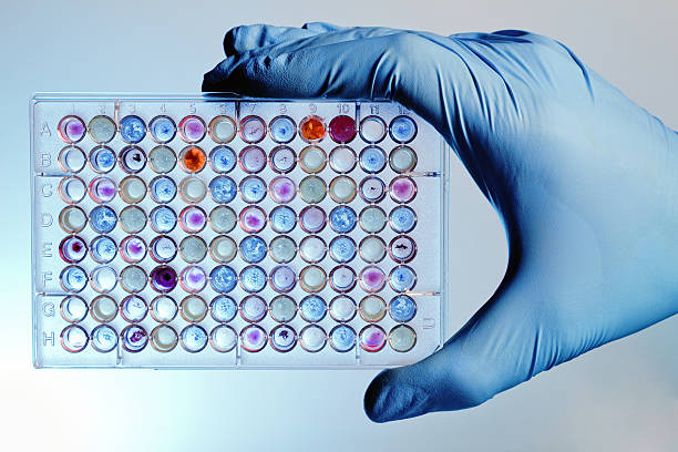 Hand with a microplate assay stock photo