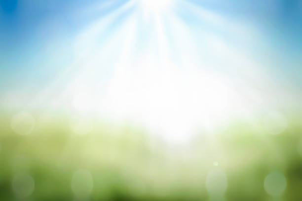 abstract blurred beautiful soft green bokeh light grass and blue sky autumn sunrise background