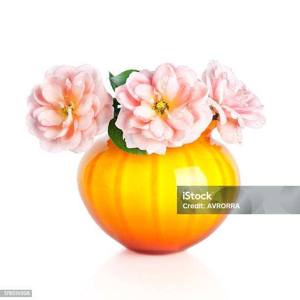 Beautiful Pink Rose Flower In Yellow Vase Isolated On White Stock Photo - Download Image Now