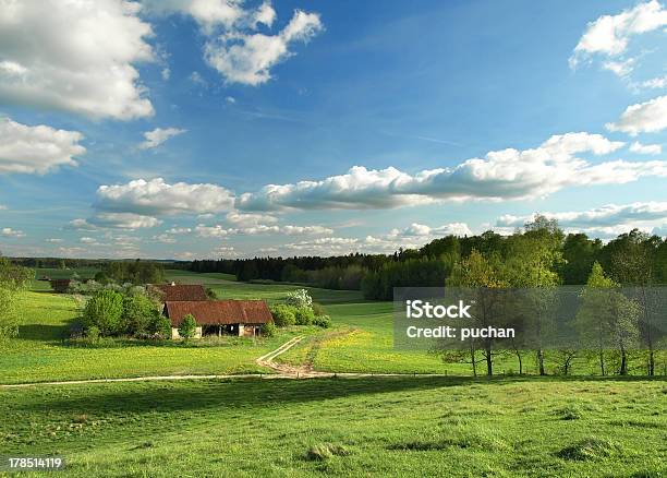 Primavera Paisagem Rural - Fotografias de stock e mais imagens de Agricultura - Agricultura, Ao Ar Livre, Campo agrícola